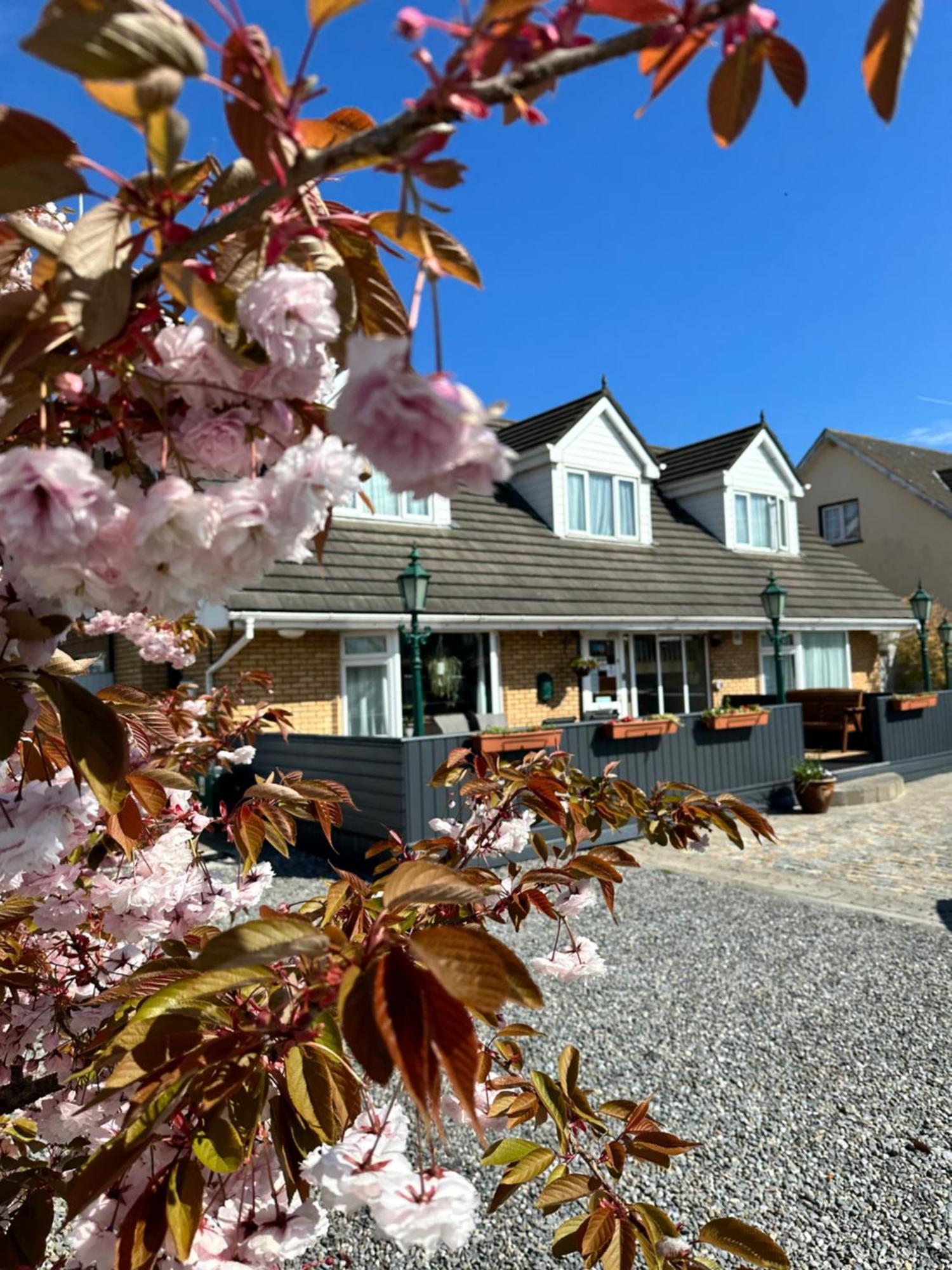 Maison d'hôtes Guest Malahide
